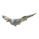 Купить Eurohunt 510064 Голубь с крыльями-приманкой Серебристый Grey 7ft.ru в интернет магазине Семь Футов
