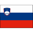 Купить Adria bandiere 5252484 Флаг Словении Многоцветный Multicolour 40 x 60 cm  7ft.ru в интернет магазине Семь Футов