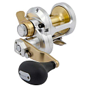 Купить Shimano fishing TAC25IICAM Talica 2 Speed Катушка Для Троллинга Серебристый 25  7ft.ru в интернет магазине Семь Футов