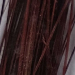 Flybox SPQ-92-UNIT Перо Stripped Peacock Quills  Claret