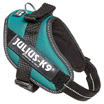 Julius k-9 14826 IDC Mini Обуздать Зеленый  Blue Petrol Mini-Mini