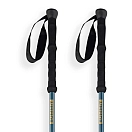 Купить Arva LKFUJIV3-02-Petrol Blue - Gold трости Fuji 3 parts powerlock + long grip Серебристый Petrol Blue / Gold 105-135 cm 7ft.ru в интернет магазине Семь Футов
