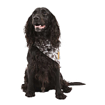 Trespass UUACPTTR0030-GD1-M/XL Alpha Dog Insect Repellent Bandana Бежевый Grey Dog Camo M-XL