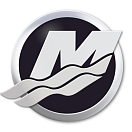 MERCURY 853720T24 Карбюратор для Меркурия Ф2.5