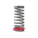 Пружина клапана Volvo Penta 30-32/40-43, Recmar 1545198_RM