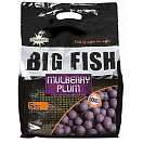 Купить Dynamite baits ADY041527 Mulberry Plum Boilies Натуральная Приманка 5kg Фиолетовый Lila 20 mm  7ft.ru в интернет магазине Семь Футов