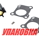 Ремкомплект помпы Honda BF8C/CX/BF9.9A/BF15A2/A3/B2, Recmar (упаковка из 5 шт.) 06192ZV4000_RM_pkg_5