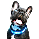 Купить Freedog CC4022 LED Battery Воротник Голубой  Blue S 7ft.ru в интернет магазине Семь Футов
