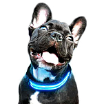 Freedog CC4022 LED Battery Воротник Голубой  Blue S