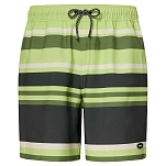 Oakley FOA406218-7EU-XXL Плавки Sunset RC 19´´  Gradient Stripes Light Green 2XL