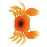 Evia ICAPO Small Crab Оранжевый  Orange