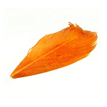 Baetis SC012/VE Condor Заменять Оранжевый  Orange