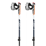Leki 65325421-110/130 Smart Supreme Поляки Серебристый  Black / Navy Blue 110-130 cm