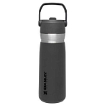 Термобутылка для воды Stanley Go Series ST1009697008 герметичная 650мл 241x81мм из нержавеющей стали серая