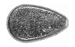 Груз плоская капля скользящий 140 (145) г тонар tr-16654