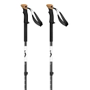 Купить Scott 420480-0001-100-130 столбы Trek Carbon Золотистый  Black 100-130 cm 7ft.ru в интернет магазине Семь Футов