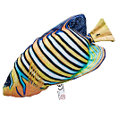 Купить Gaby GP-175686 The Regal Angelfish Medium Многоцветный Multicolor 7ft.ru в интернет магазине Семь Футов
