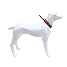 Купить Freedog 10232004 Gun Воротник Голубой  Blue 20 mm x 39-52 cm 7ft.ru в интернет магазине Семь Футов