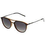 Sinner SISU-838-40-20 Carmel Солнцезащитные Очки  Matte Dark Brown Gradient Green/CAT3