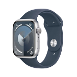 Apple MR9E3QL/A Watch Series 9 GPS 45 mm Голубой  Silver / Storm Blue M-L