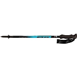 Fizan FZ100009 трости Compact Серебристый  Ocean Blue 59-132 cm