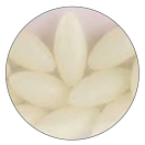 Купить Daiwa PE361545 Needle Eggs Скрепки Для Бумаг Белая White Phospho 13 mm  7ft.ru в интернет магазине Семь Футов