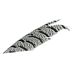 Baetis PFP Pheasant Feather Перо  Silver