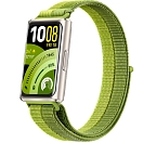 Купить Huawei 55020gvg Смарт-часы Band 11 Pro Green 9x17x4 7ft.ru в интернет магазине Семь Футов