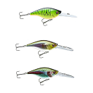 Купить Daiwa 15205811 Prorex Crankbait DR 80 Mm 24g Многоцветный Live Ayu 7ft.ru в интернет магазине Семь Футов