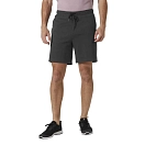 Купить Helly hansen 34500_980-XL Шорты HP Tech Серый  Ebony XL 7ft.ru в интернет магазине Семь Футов