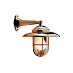 Светильник настенный Foresti&Suardi 2060.LT E27 220/240В 52Вт прозрачное стекло корпус из полированной латуни