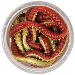 Berkley 1546775 Powerbait Honey Worm Мягкая приманка 25 Mm Оранжевый Red / Yellow