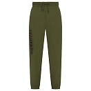 Купить Navitas NTBJ4008-2XL Джоггеры Core  Green 2XL 7ft.ru в интернет магазине Семь Футов