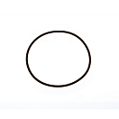 Купить Guidi 1900056 уплотнительное кольцо  Black 123.42 x 3.53 mm  7ft.ru в интернет магазине Семь Футов