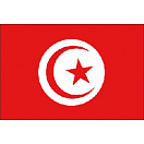 Купить Adria bandiere 5252407 Флаг Туниса Красный  Multicolour 20 x 30 cm  7ft.ru в интернет магазине Семь Футов