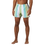 Helly hansen 34296_499-2XL плавательные шорты Newport Iced Matcha Multistripe Wd 2XL
