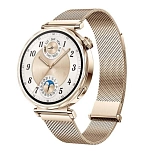 Huawei 55020DJQ Смарт-часы GT5 41 mm  Gold Milanese