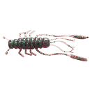 Купить Силиконовая приманка насекомое GadFly (Цвет-Mystic резина 5017) GF Mystic Lures 7ft.ru в интернет магазине Семь Футов