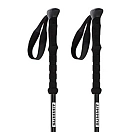 Купить Arva LKFUJICV1-00-Black трости Fuji carbon 3 parts powerlock + long grip Серебристый Black 105-135 cm 7ft.ru в интернет магазине Семь Футов