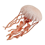Safari ltd S265529 Jellyfish Sea Life Фигура Оранжевый Pink From 3 Years 