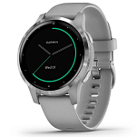 Garmin 010-02172-02 Vivoactive 4S Часы Серый  Grey