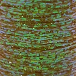 Textreme SBFP-11-UNIT Флэшабу Body Fly Pearl 170 Denier 35 m  Fluo Olive