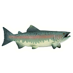 Safari ltd S100205 Salmon Фигура Зеленый  Multicolor From 3 Years 