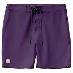 Globe GB02136002-BER-31 Плавки Every Swell Boardshort Фиолетовый Berry 31