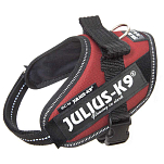 Julius k-9 16IDC-BOR-M IDC® Power Mini Обуздать Красный Garnet Mini