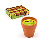 Juinsa 95001 Citronela Свеча Терракотовый Горшок 8x9 См Multicolor