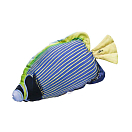 Купить Gaby GP-175679 The Emperor Angelfish Mini Голубой  Blue / Green / White 7ft.ru в интернет магазине Семь Футов