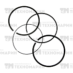 Поршневые кольца BRP 1503 (130-300л.с.) (+0.5мм) 010-960-05 WSM
