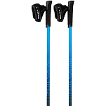 Viking 650/20/7879/15/105 столбы Pro-Trainer  Blue 105 cm
