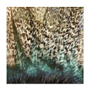 Купить Baetis PLGEXPCRUDO Extra Коричневое львиное перо Многоцветный Raw 7ft.ru в интернет магазине Семь Футов